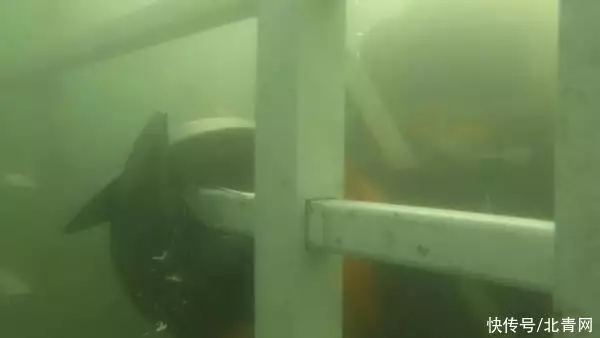 培训游泳队消防技巧开展方案_消防队开展游泳技巧培训_消防开展游泳训练