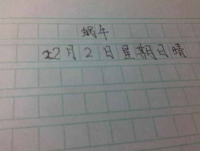 生活小窍门作文日记_日记生活怎么写_生活日记作文怎么写