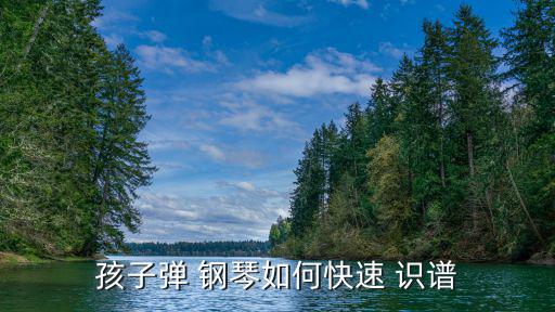 孩子弹 钢琴如何快速 识谱