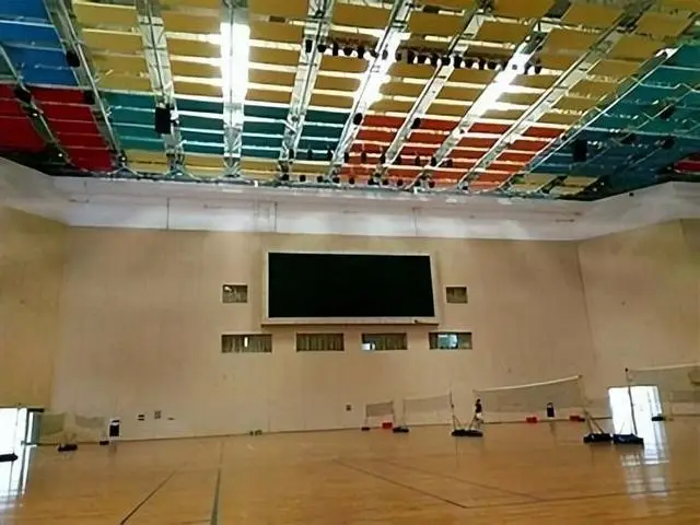 举重陈燮霞_陈燮霞举重视频_举重冠军陈變霞