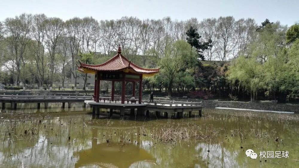 篮球规则漏洞_篮球规则和作弊规则_规则作弊篮球怎么处罚
