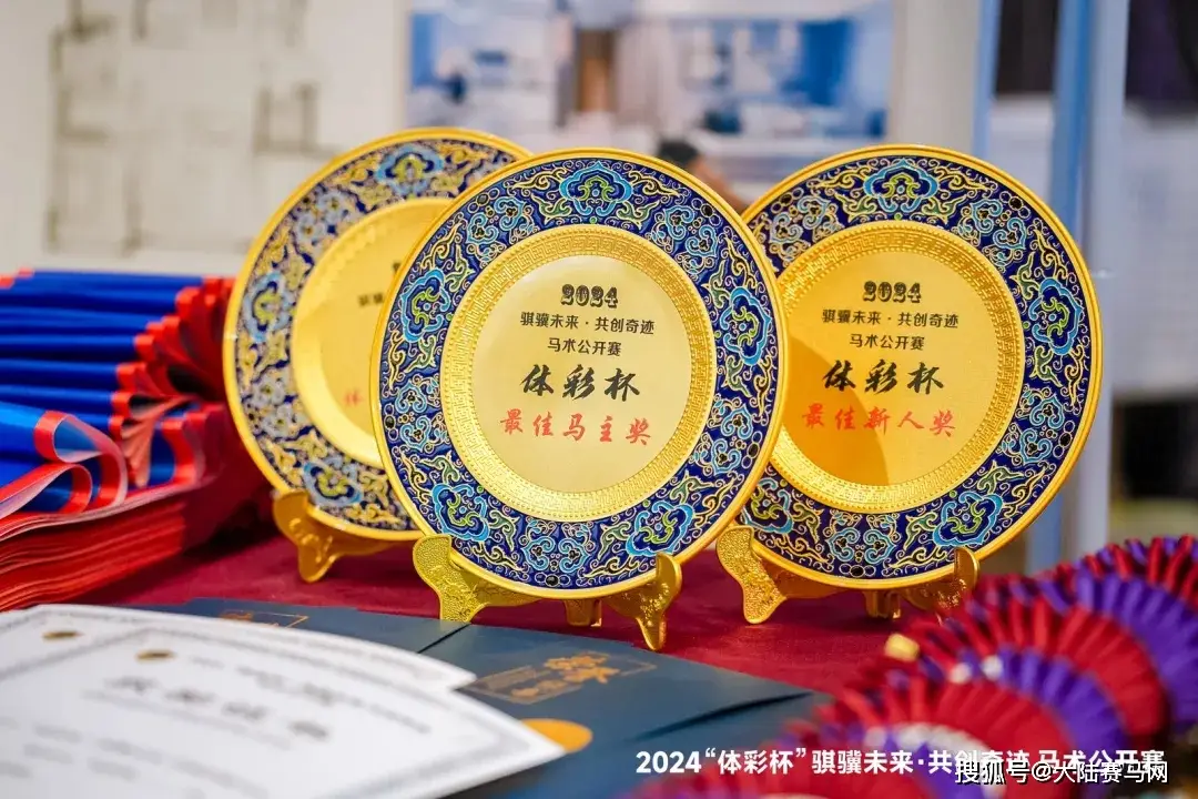 篮球杯体彩冠军比赛结果_体彩杯篮球比赛冠军_体彩杯篮球赛什么水平