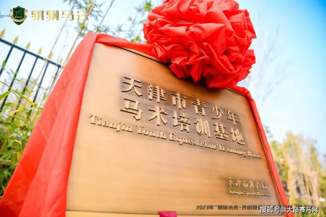 体彩杯篮球比赛冠军_体彩杯篮球赛什么水平_篮球杯体彩冠军比赛结果