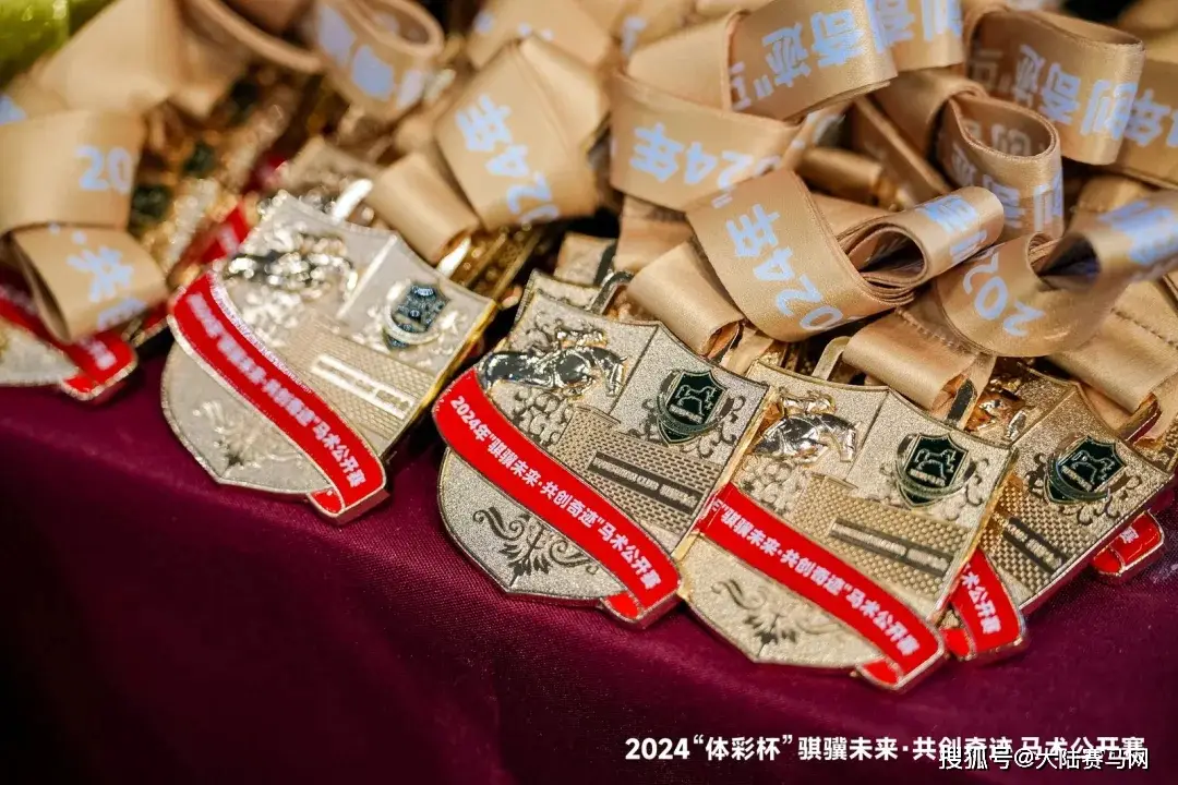 体彩杯篮球比赛冠军_篮球杯体彩冠军比赛结果_体彩杯篮球赛什么水平