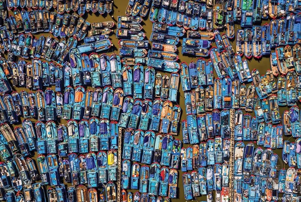 印度游泳东京湾冠军_东京湾运动员_日本东京湾游泳